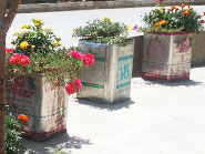 زیبا کردن محیط زیستمان گاهی بدون هزینه هم امکان پذیر است.