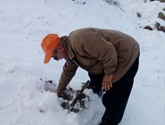 کاشت بلوط در دامنه آربابا