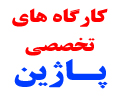 پیشنهاد تشکیل کارگاه های تخصصی  آموزشی توسط کارشناسان انجمن پاژین