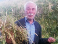 موی سپید را فلکم رایگان نداد ، این رشته را به نقد جوانی خریده‌ام.