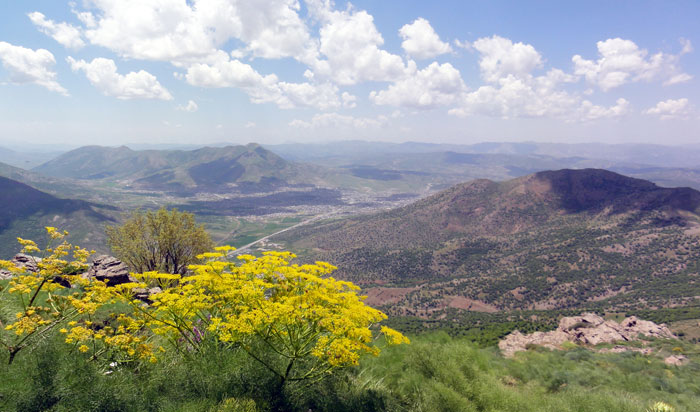 اکوسیستم مرتع شهرستان بانه