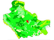 نقشه پوشش گیاهی شهرستان بانه