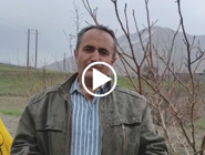 کاشت دانه درخت بلوط در گلدان توسط کمیته جنگل و مراتع انجمن