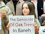 اعلام حمایت مردمی از اعتراض به قطع درختان بلوط در دشت سورین بانه