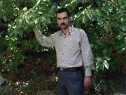 16 سال زمان برای شناساندن تک درخت تاتاری (قفقازی) ایران در کانی برد بانه صرف شد.!!